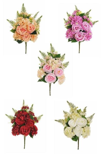CABBAGE ROSE,HYDR,BERRIES,BUSH X11,62 CM