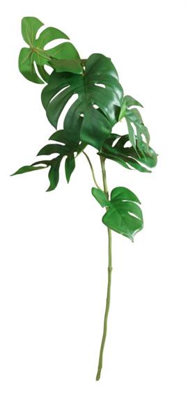 PHILODENDRON BRANCH 70 CM